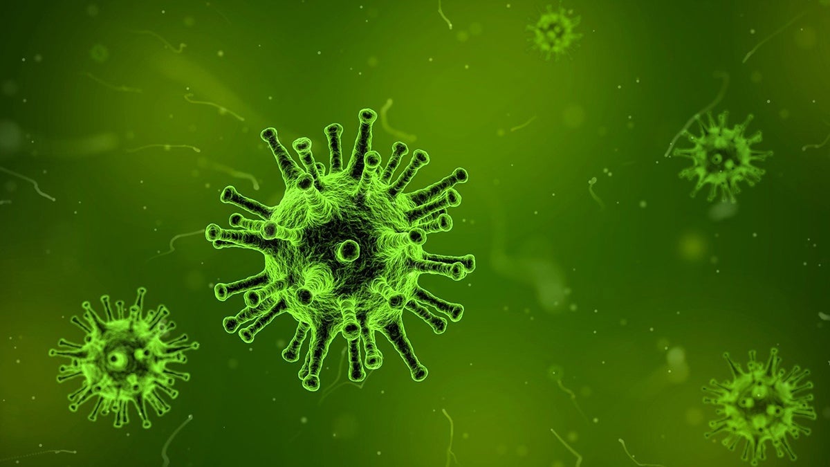 Microscopic illustration of Corona Virus