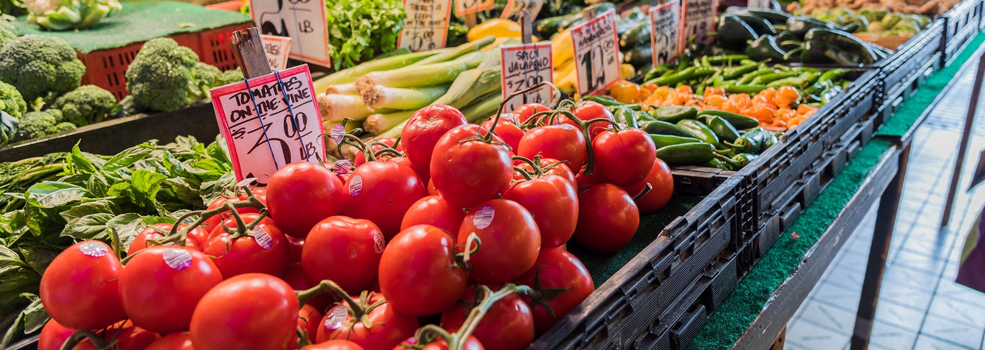 Vegetables at the market