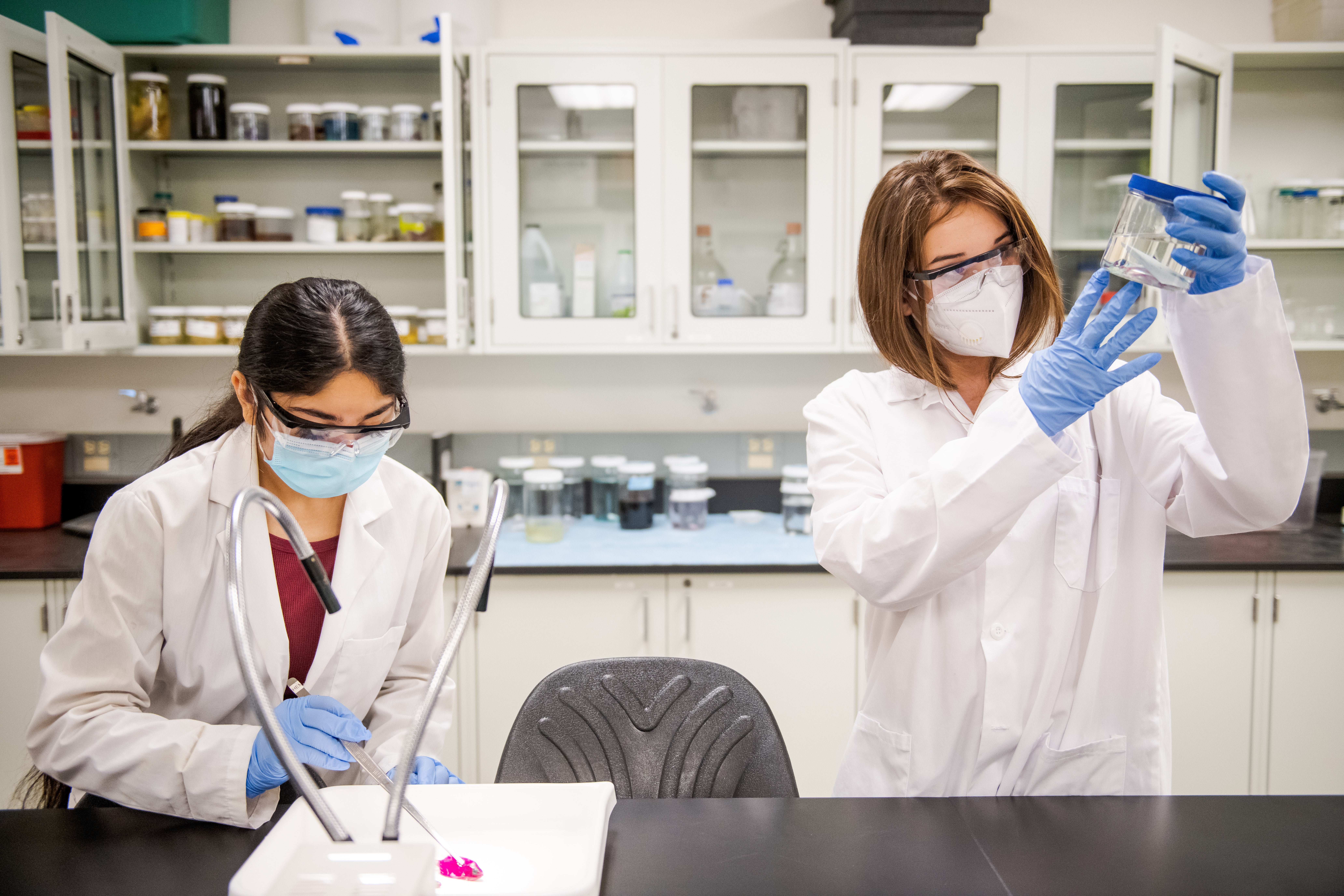 Image of ASU students in lab