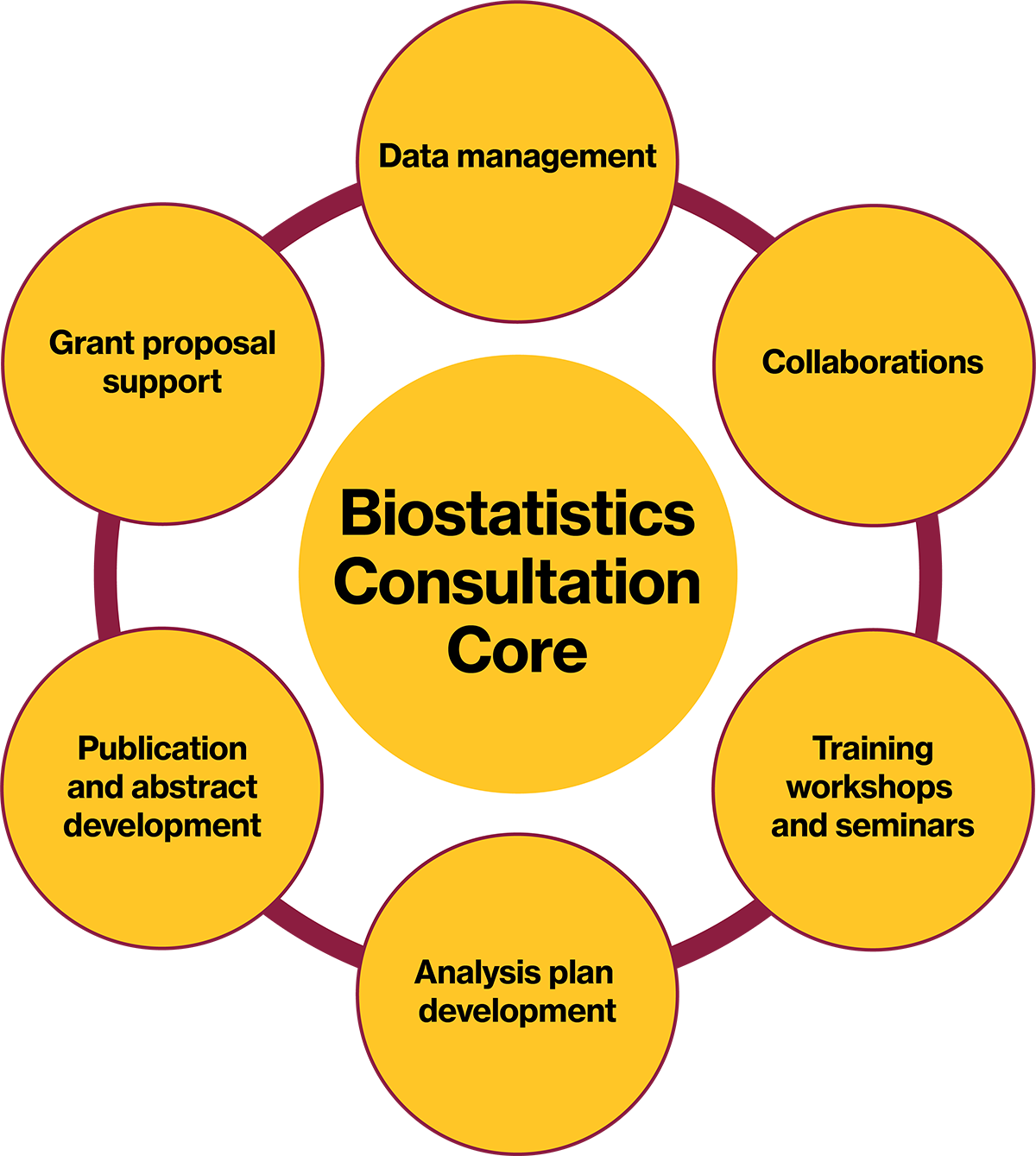 Graphic with "Biostatistics Consultation Core" at the center. Around this are data management, collaborations, training workshops and seminars, analysis plan development, publication and abstract development, and grant proposal support.