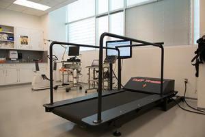 Exercise and cardiovascular physiology laboratory with treadmill