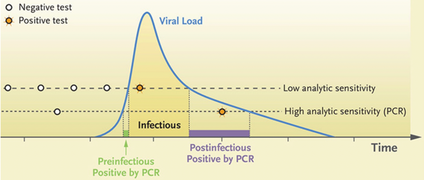 Viral load graph