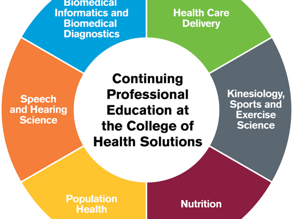 Continuing Education pie chart