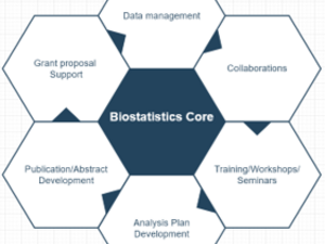 Diagram representing Biostatistics Core fundamentals 